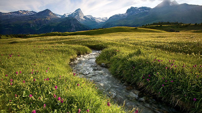 Naturpark - Parc Ela | Camping Lenzerheide